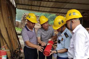 守牢安全底線 護航林業發展——鳳山大隊聯合應急管理局、林業局開展木材加工廠消防安全檢查